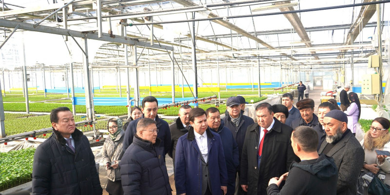 Мәжіліс депутаттары Түркістан облысындағы кәсіпорындарды аралады