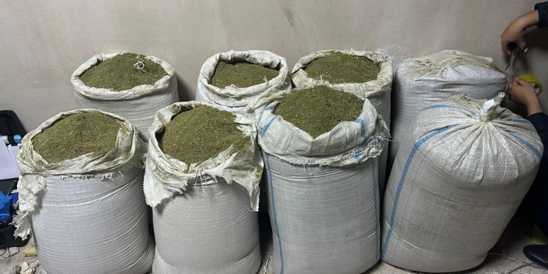 ІІМ: Ақтау және Алматы қалаларында есірткіні сату арналары жойылды