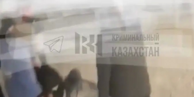 Алматыда бір топ жасөспірім қатарласын соққыға жыққан (ВИДЕО)