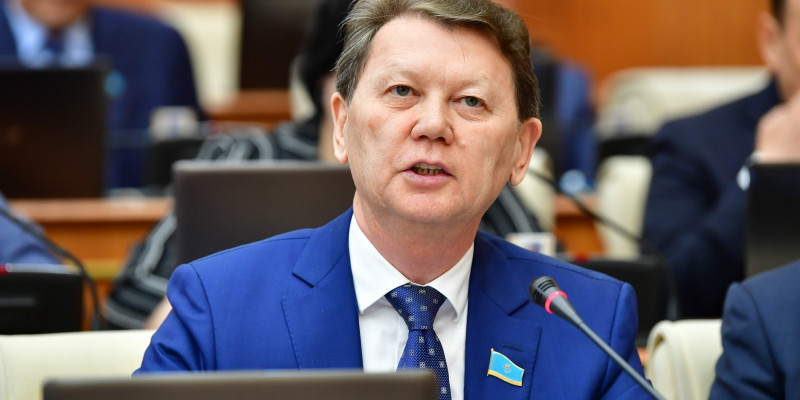 Көлеңкелі экономикаға қай мекеме жауап беретіні белгісіз – депутат