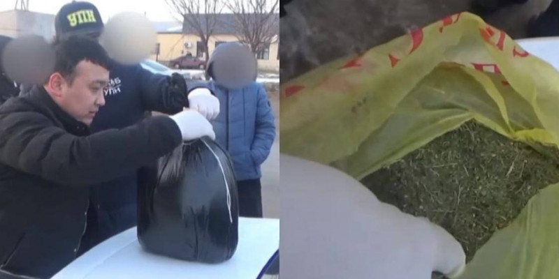 Түркістан облысында полиция жолаушыдан 3 келі марихуана тәркіледі