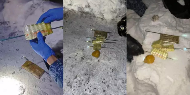 ШҚО-дағы түрмеге тыйым салынған заттарды өткізбекші болған күдіктілер ұсталды