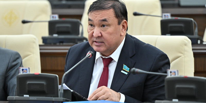 Мәжіліс депутаты жекеменшік балабақшаларға салынатын айыппұлды азайтуды ұсынды