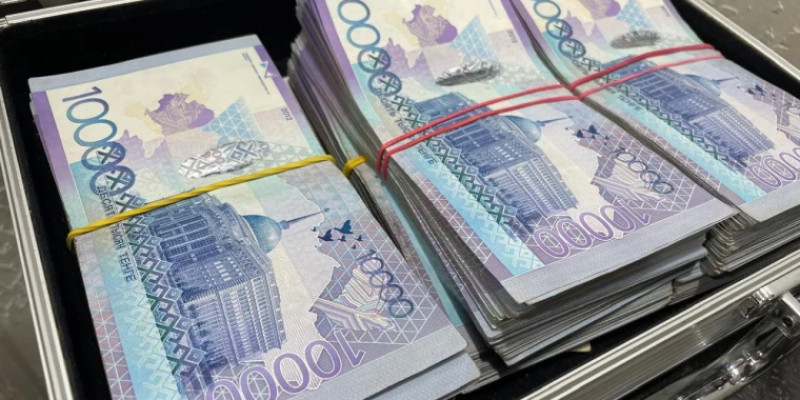 «Байғұс балам-ай»: Салық органынан хат алған тележүргізуші ауруханаға түсіп қалды
