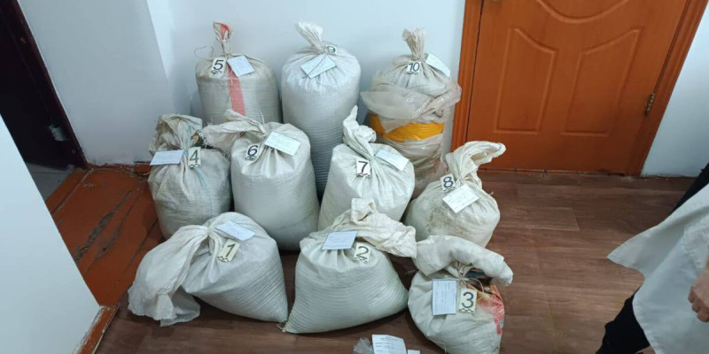 Жамбыл облысында ірі көлемде есірткі жеткізу арнасы жойылды