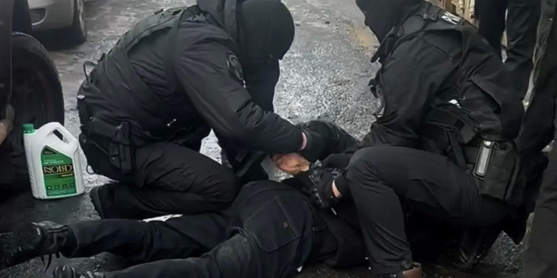 Алматы облысында бір айда жүздеген бас мал ұрлаған қылмыстық топтар ұсталды