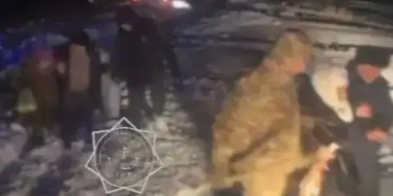 Ақтөбе облысында 34 адам қар құрсауында қалған