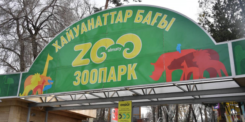 Алматы хайуанаттар бағы рекорд орнатты
