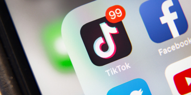 TikTok балалардың сексуалдық сипаттағы тікелей эфирлерінен табыс табады – BBC