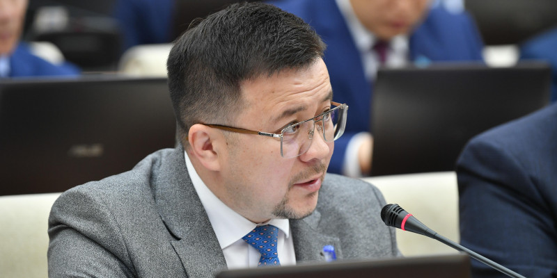 Депутат балалардың интернетті қолдануын қадағалайтын бірыңғай мемлекеттік бақылау жүйесін құруды ұсынды