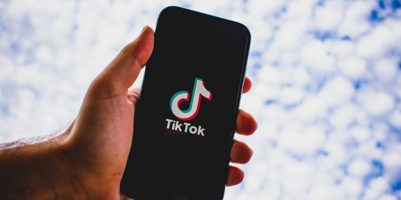 Албанияда TikTok желісіне тыйым салынды