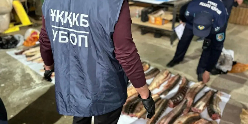 Атырау тұрғынының көлігінен 1,5 келі бекіре уылдырығы тәркіленді
