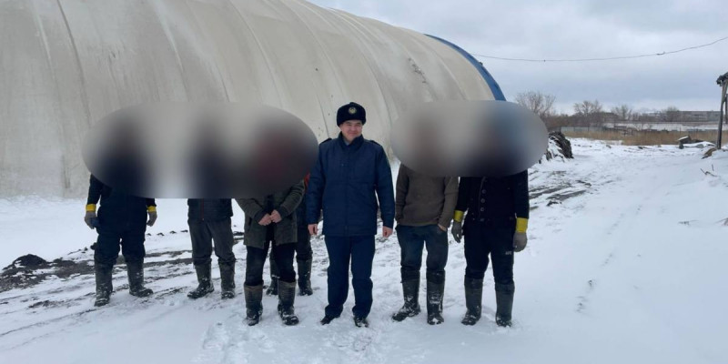 Көші-қон заңын бұзған шетелдіктер елден шығарылды