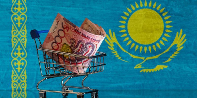 Елдің болашағы үшін әділ және тиімді салық жүйесін жасау керек – Президент