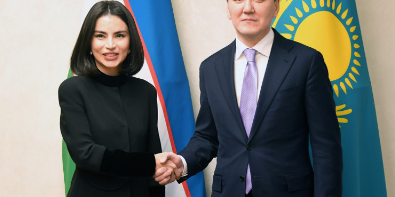 Ерлан Қарин Өзбекстан Президентінің көмекшісімен кездесті