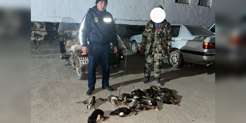 Қызылорда облысында 14 үйрек аулаған екі азамат ұсталды