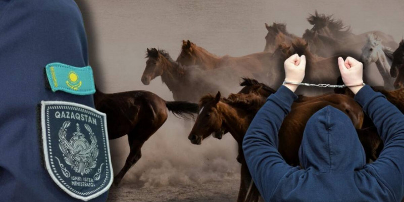 Қызылорда облысында полиция 7 мал ұрлығын анықтады