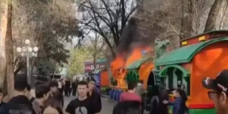 Алматыдағы Орталық демалыс саябағында өрт шықты
