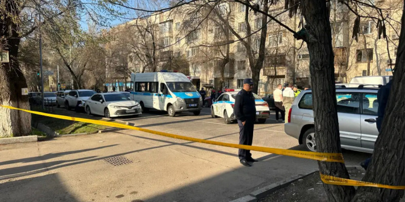 Алматыда 7 жастағы ұл баланы көлік қағып кетті