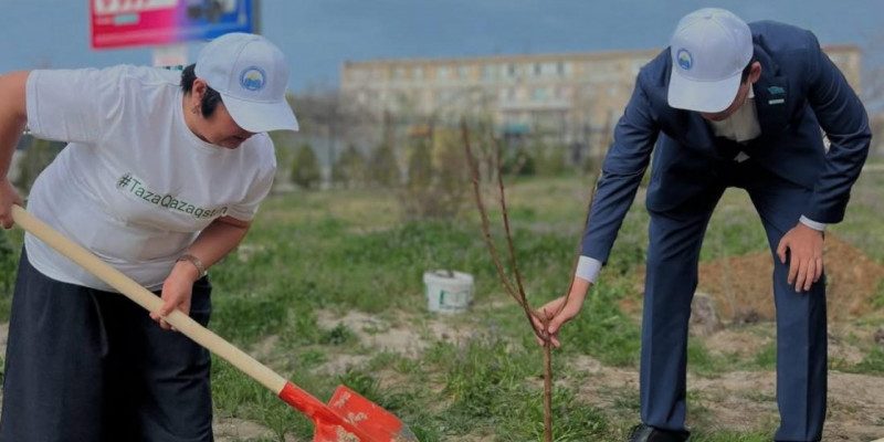 «Таза бейсенбі»: өңірлерде көгалдандыру жұмыстары басталды