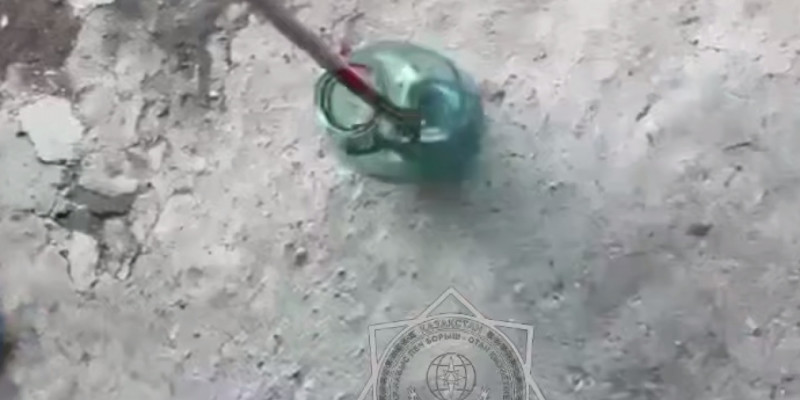 Құтқарушылар тұрғынның үйінен 2 жыланды ұстады