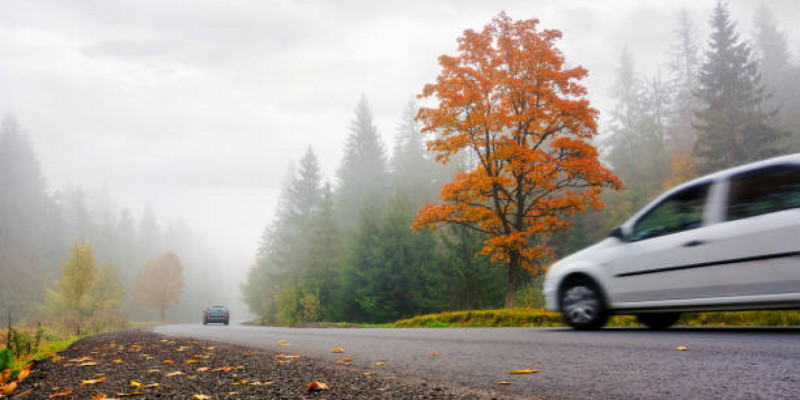 Қазгидромет: Еліміздің бес облысында үсік жүруі мүмкін