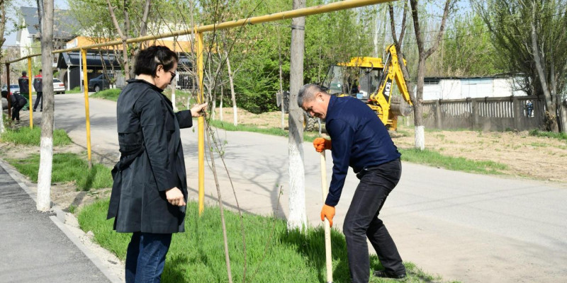 “Таза Қазақстан”: 74,1 мың жасыл желек отырғызылды