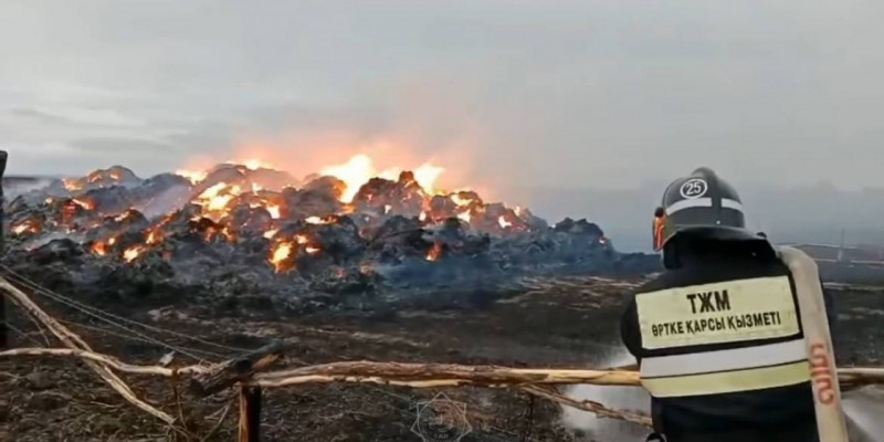 Шығыс Қазақстанда 150 тонна шөп өртеніп кетті