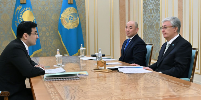 Президент «Бәйтерек» холдингінің төрағасын қабылдады