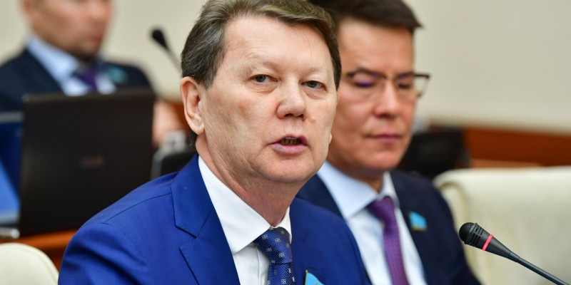 "Қағазда бар, өмірде жоқ": депутат ауылдардағы үй құрылысын субсидиялауға қатысты мәселе көтерді