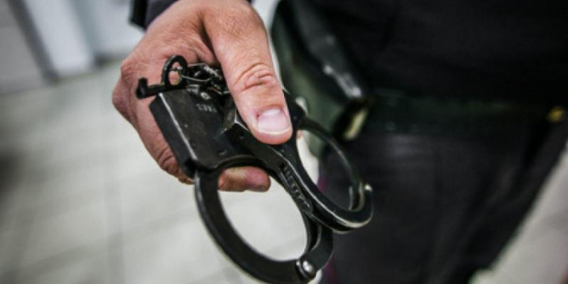 Полиция кісі тонаумен айналысқан жігітті қалай ұстағандарын көрсетті