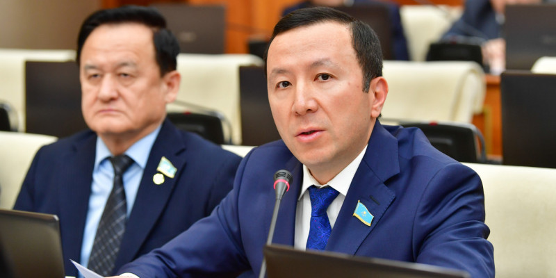 "Дәрі-дәрмек нарығының 80%-ы – шетел өнімдері": Депутат отандық өндірісті дамыту қажет екенін айтты