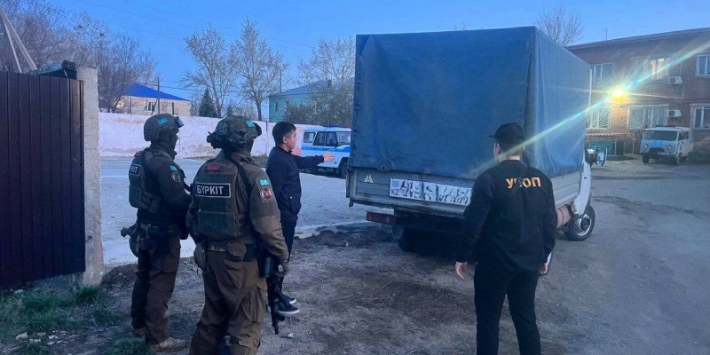 «Құны – 520 млн теңге»: Семей орманынан 260 мың көшет ұрланған