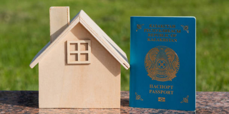 Жыл басынан бері 4,4 мыңнан астам этникалық қазақ қандас мәртебесін алды – Министрлік