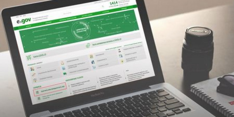 Зағип енесіне ЭЦП ашып беремін деп несие алып, төркініне кетіп қалған келінге қатысты сот үкімі шықты