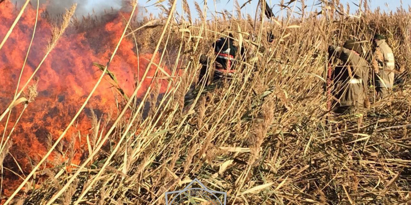 Екпінді жел салдарынан Атырау облысындағы қамыс өртін сөндіру мүмкін болмай тұр