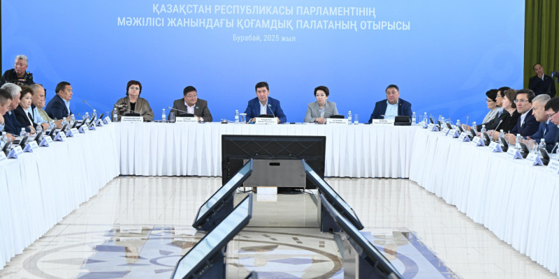 Қоғамдық палата отырысында сарапшылар ұсынған қандай бастамалардың заңдарға енгені туралы айтылды