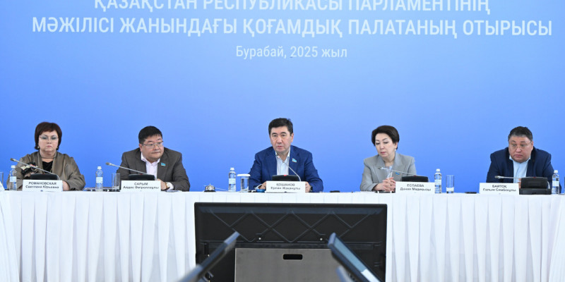 Қоғамдық палатаның көшпелі отырысында тұрмыстағы зорлық-зомбылық туралы заңның іске асырылуы талқыланды