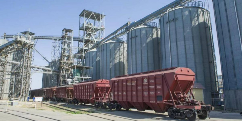 Қазақстанда жаңа астық өнімінің экспорты 9 млн тоннаны құрады
