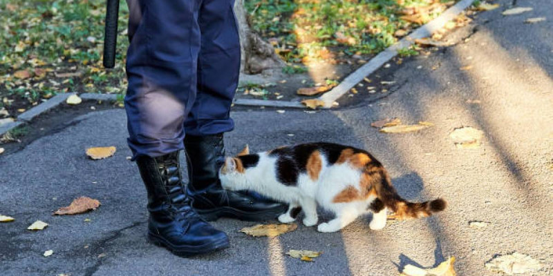 Жетісуда өзенге секіріп, өзіне қол жұмсамақ болған қызды полицейлер құтқарып қалды