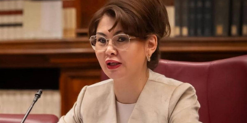 Аида Балаева киноиндустрияны дамытудың басым бағытын атап өтті