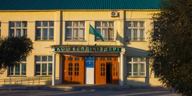 Алматы облысында бір ауылдың балалары дүкенде оқуға мәжбүр