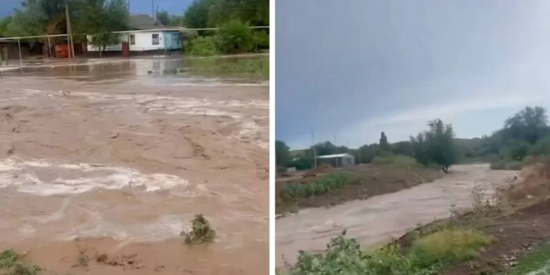 Жетісу облысында Сарыөзек ауылын су басты