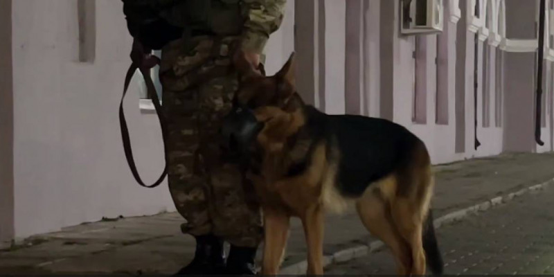 6 жыл жасырынып жүрген күдікті Ресейден экстрадицияланды
