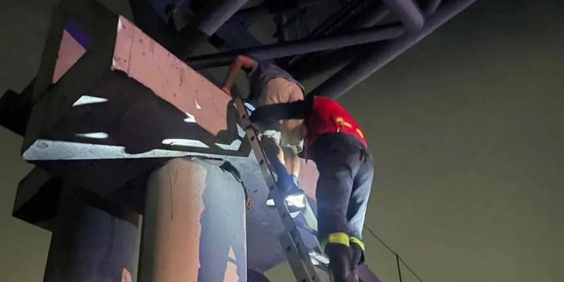 Құтқарушылар көпірге шығып, түсе алмаған баланы құтқарды
