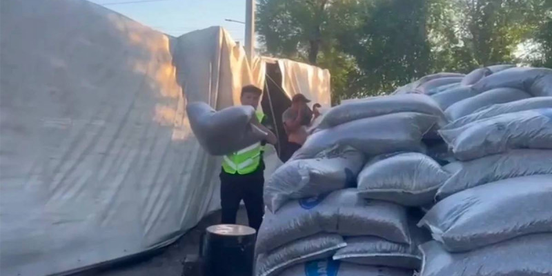 Жетісу облысында 35 тонна күнбағыс дәні тиелген жүк көлігі аударылды