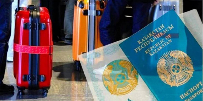 2025 жылы 8 мыңнан астам этникалық қазақ қандас мәртебесін алды