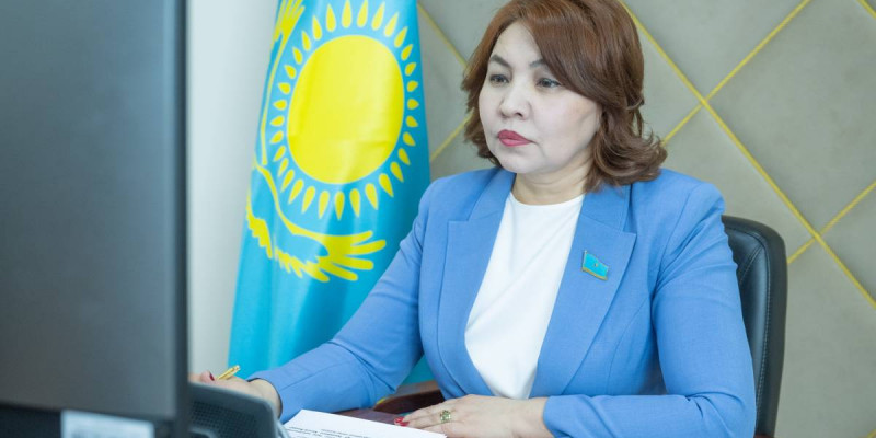 Бибігүл Жексенбай: Жолдау – тек міндеттер жиынтығы емес, бұл – стратегиялық бағыт беретін құжат