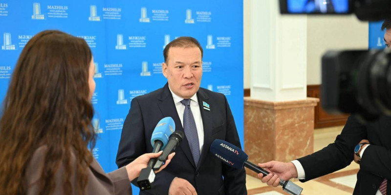 Президент елдің дамуына тың серпін беретін бағыт-бағдарды айқындап берді – депутат