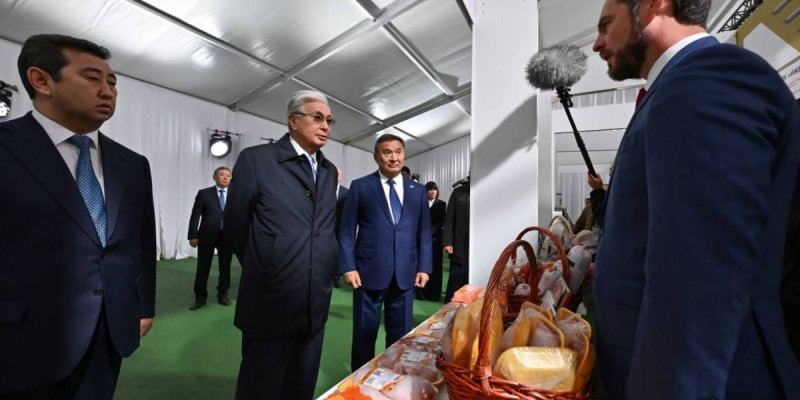 Мемлекет басшысы Ақмола облысындағы ауыл шаруашылығы өнімдерінің көрмесін аралады